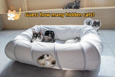 Inbelive 4 Ways Shuttled XL Cat Tunnel Bed for Indoor Cats Peekaboo Cat Cave Donut with Cool Mat