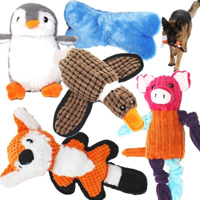 Inbelive 5 Pack Value Bundle Dog Toys Assortment Dog Plush Toys Dog Squeaky Toys Assortment Puppy Pet Mutt Dog Toy Dog Squeak Toy for Small Medium Large Dogs