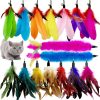 Inbelive Cat Feather Toys Refill Cat Wand Replacement Feathers, 16 PCS Cat Toy Feather Refills, Cat Wand Attachments Feathers for Cat Toys