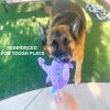 Inbelive 5 Pack Tough Plush Animal Dog Toys Assortment Value Bundle Dog Squeaky Toys Assortment Puppy Pet Mutt Dog Toy Dog Squeak Toy for Medium Large Dogs