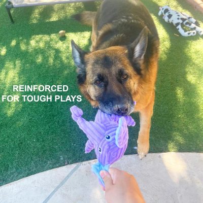 Inbelive 5 Pack Tough Plush Animal Dog Toys Assortment Value Bundle Dog Squeaky Toys Assortment Puppy Pet Mutt Dog Toy Dog Squeak Toy for Medium Large Dogs