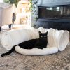 Inbelive Cat Tunnel and Bed Toy Set with Removable Plush Bed for Indoor Use; Perfect for Cats, Dogs, and Ferrets; Cat Toys Attached; Top Pet Tunnel for Fun, Exercise, and Rest; Cat Toys for Indoor Cats (Blue).