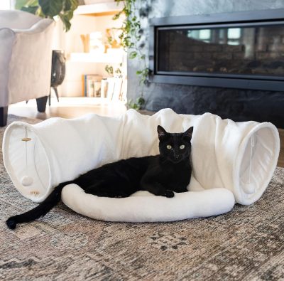 Inbelive Cat Tunnel and Bed Toy Set with Removable Plush Bed for Indoor Use; Perfect for Cats, Dogs, and Ferrets; Cat Toys Attached; Top Pet Tunnel for Fun, Exercise, and Rest; Cat Toys for Indoor Cats (Blue).