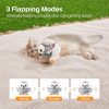 Inbelive Flapping Snowy Owl Cat Toys, Lifelike Bird Chirp, Rechargeable Owl Touch Activated Kitten Toy, Interactive Catnip Kicker Exercise Toys 4.0" for All Breeds