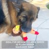 Inbelive 5 Pack Tough Layer Plush Dog Toys Assortment Value Bundle Dog Squeaky Toys Assortment Puppy Pet Mutt Dog Toy Dog Squeak Toy for Medium Large Dogs
