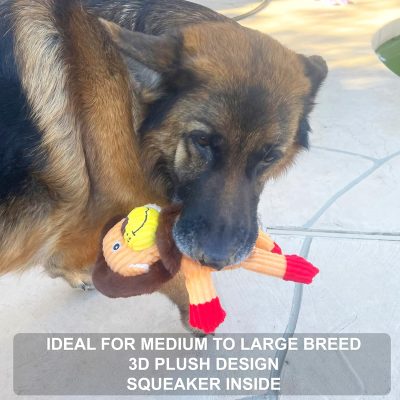 Inbelive 5 Pack Tough Layer Plush Dog Toys Assortment Value Bundle Dog Squeaky Toys Assortment Puppy Pet Mutt Dog Toy Dog Squeak Toy for Medium Large Dogs
