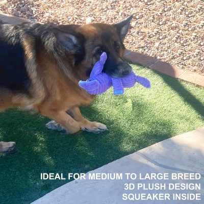 Inbelive 5 Pack Tough Plush Animal Dog Toys Assortment Value Bundle Dog Squeaky Toys Assortment Puppy Pet Mutt Dog Toy Dog Squeak Toy for Medium Large Dogs