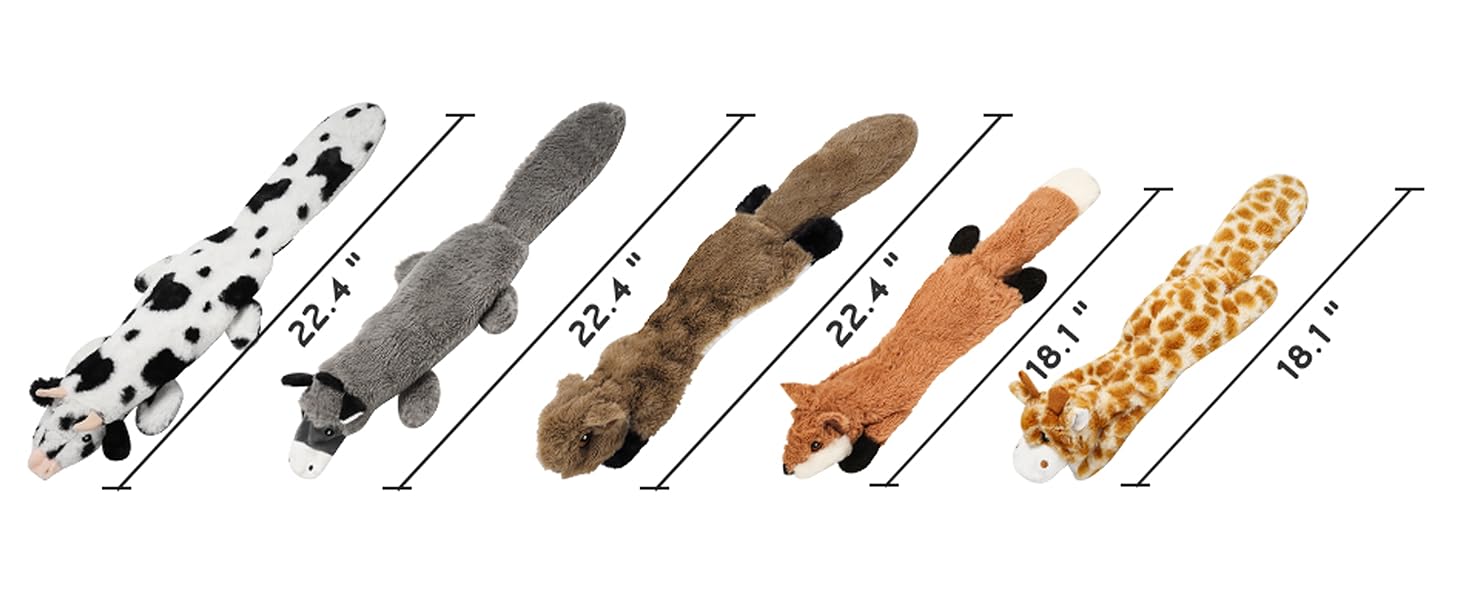 dogtoy