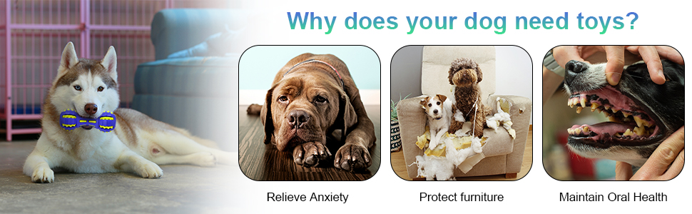 tough chew toys for dogs
