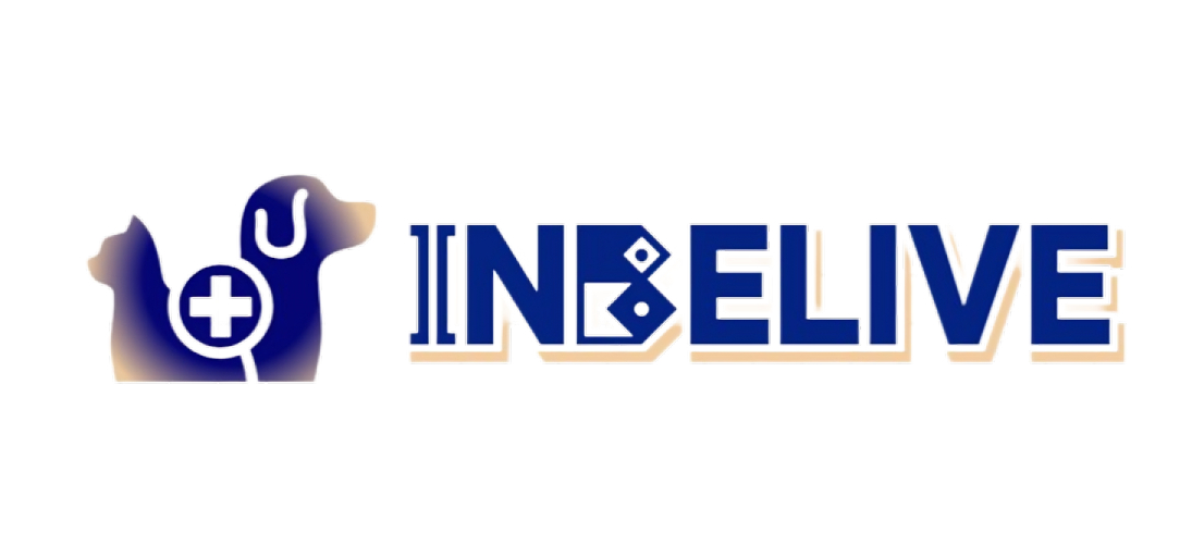InBelive Pet Toys